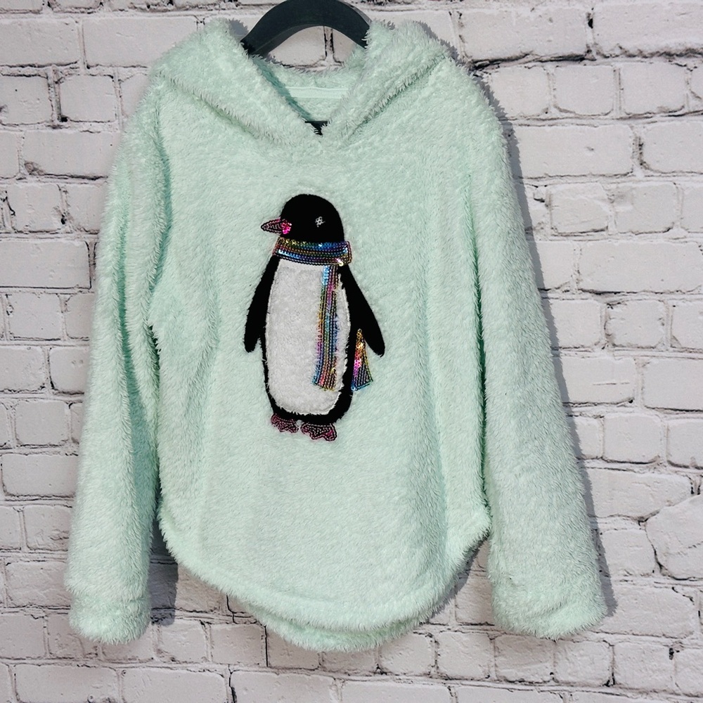SO Cozy Light Green Hoodie